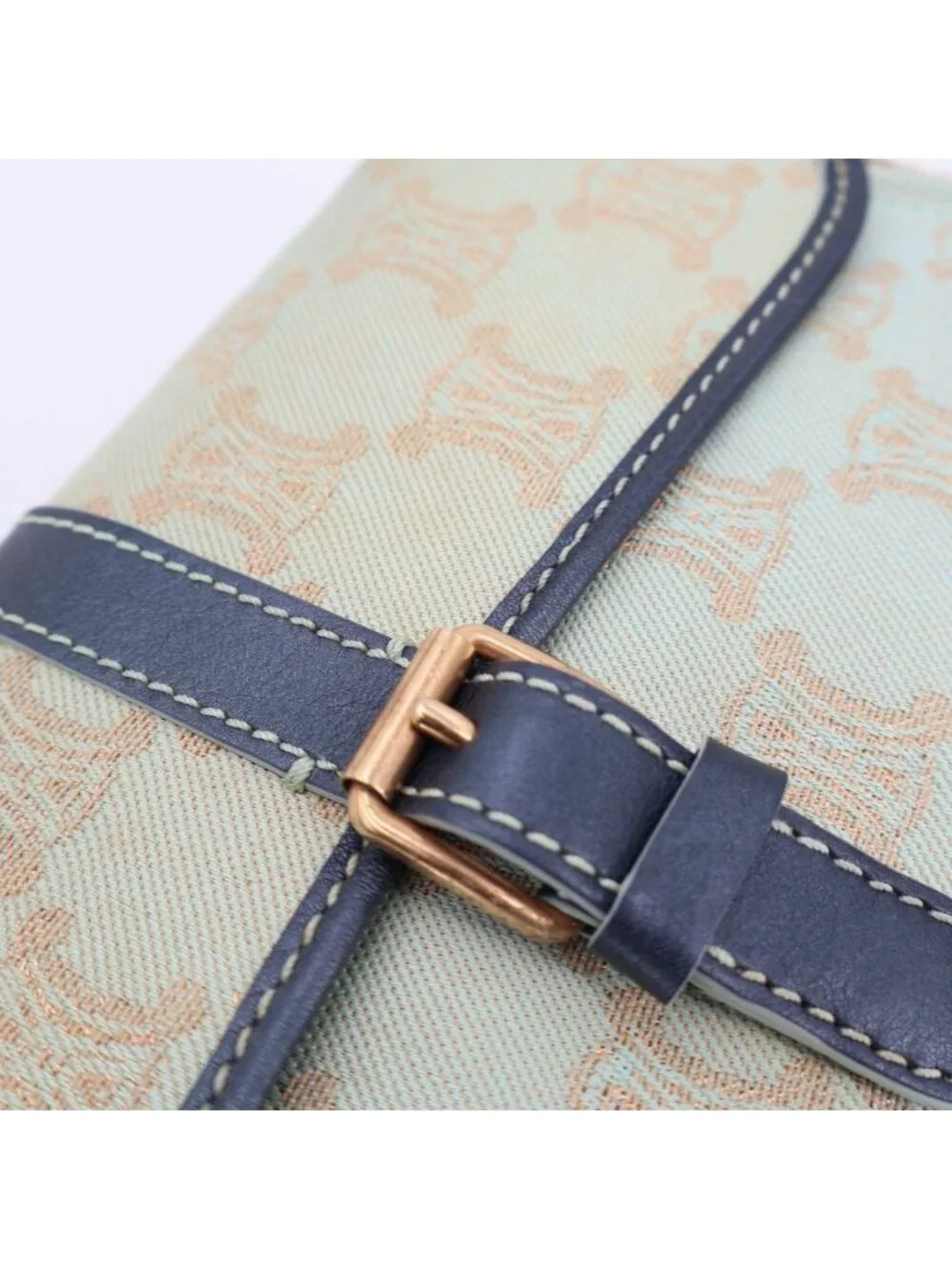 Celine Pouch Blue
